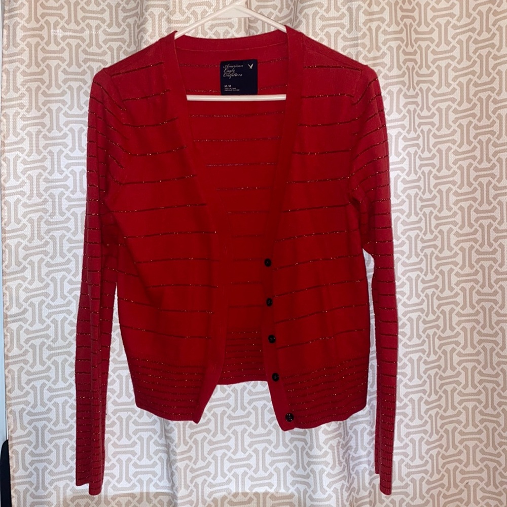 American Eagle Red Striped Cardigan